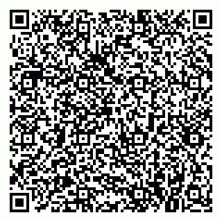 vCard 79021077384