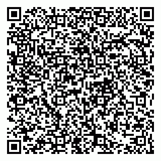 vCard 79021077541