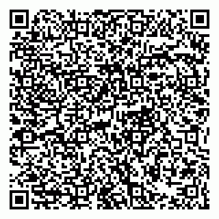 vCard 79021078033