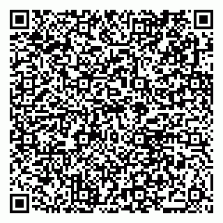 vCard 79021078132