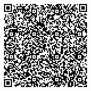 vCard 79021078133