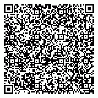 vCard 79021078179