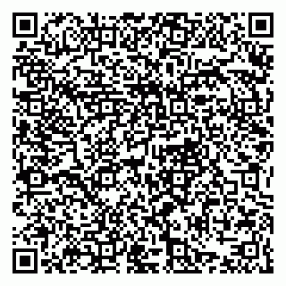 vCard 79021078208