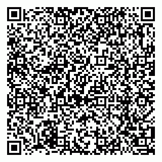 vCard 79021078297