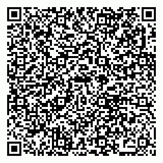 vCard 79021078300