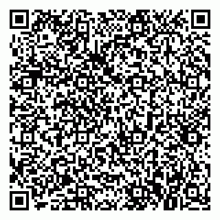 vCard 79021078333