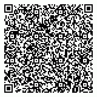 vCard 79021078803