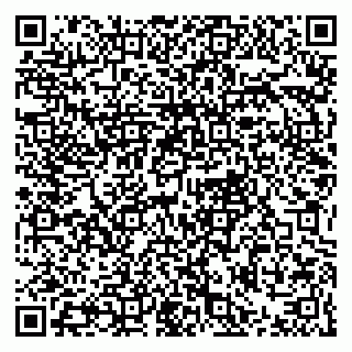 vCard 79021078985