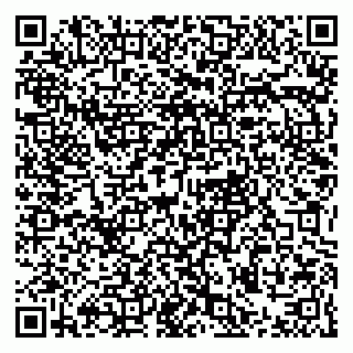 vCard 79021078987