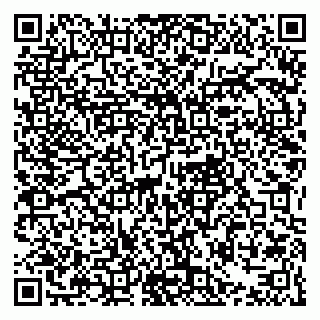 vCard 79021079011