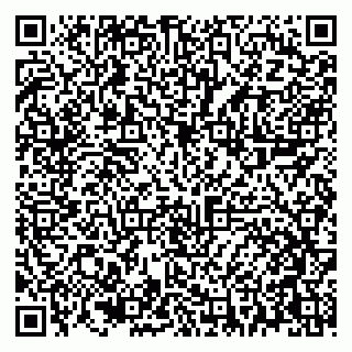 vCard 79021079032