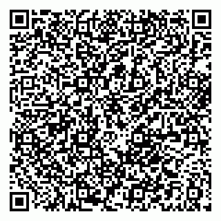 vCard 79021079035