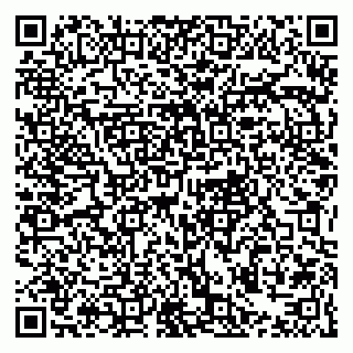 vCard 79021079037