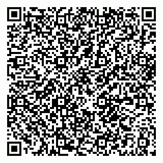 vCard 79021079068