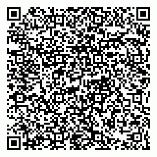 vCard 79021079080