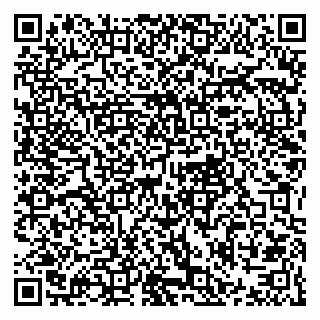 vCard 79021079174