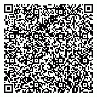 vCard 79021079333