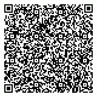 vCard 79021079334