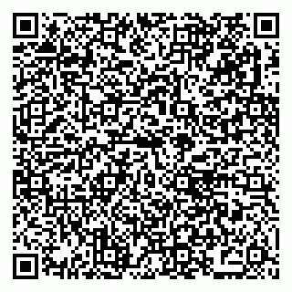 vCard 79021079381