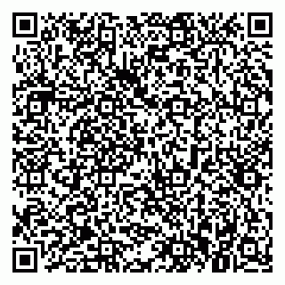 vCard 79021079403