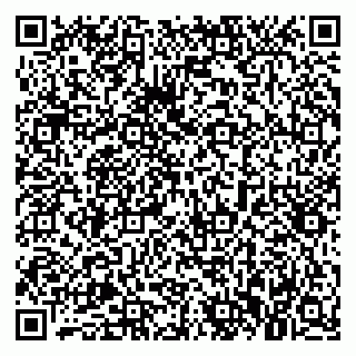 vCard 79021079533