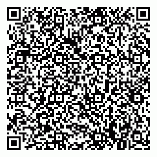 vCard 79021079629