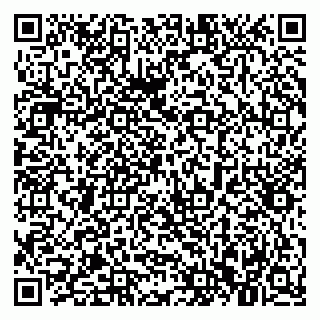 vCard 79021079633