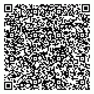 vCard 79021079803