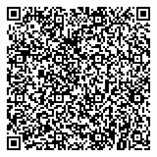 vCard 79021079817