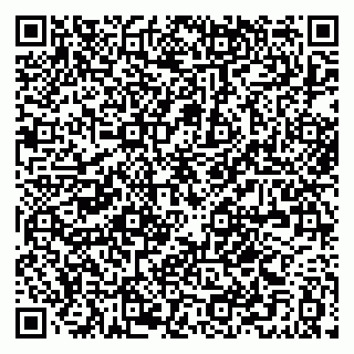 vCard 79021079933
