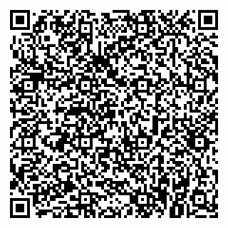 vCard 79021079987