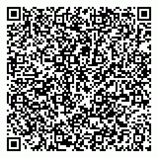 vCard 79021080009