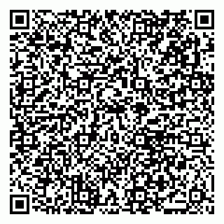 vCard 79021080013