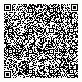 vCard 79021080031