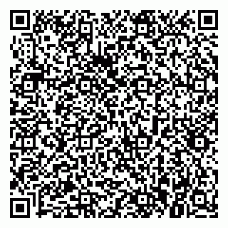 vCard 79021080033