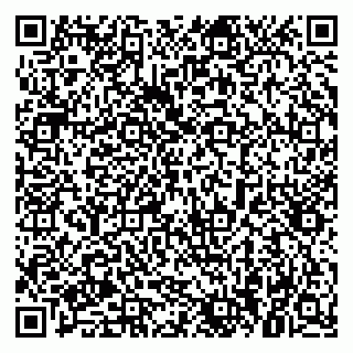 vCard 79021080034