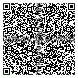 vCard 79021080285