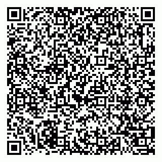 vCard 79021080300