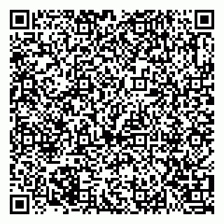 vCard 79021080317
