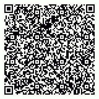 vCard 79021080333