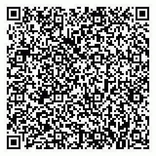 vCard 79021080382
