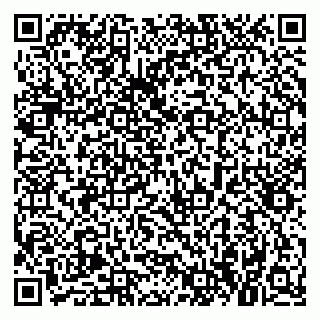 vCard 79021080384