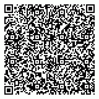 vCard 79021080387