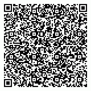 vCard 79021080389