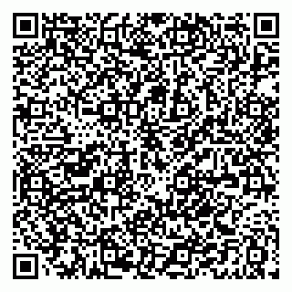 vCard 79021080397