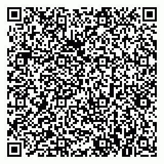 vCard 79021080400