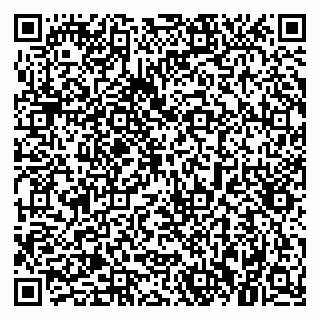 vCard 79021080402