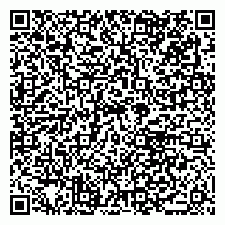 vCard 79021080405