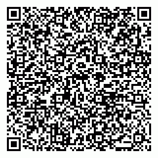 vCard 79021080408