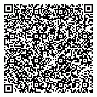 vCard 79021080413